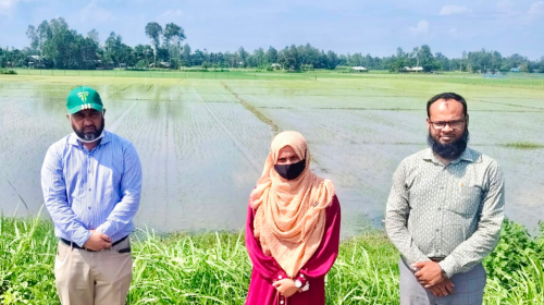 শেরপুরে রোপা আমন ক্ষেত ও সার সরবরাহ পরিস্থিতি পরিদর্শন করলেন ডিডি