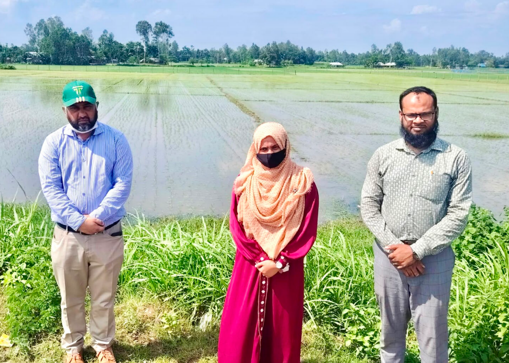 শেরপুরে রোপা আমন ক্ষেত ও সার সরবরাহ পরিস্থিতি পরিদর্শন করলেন ডিডি