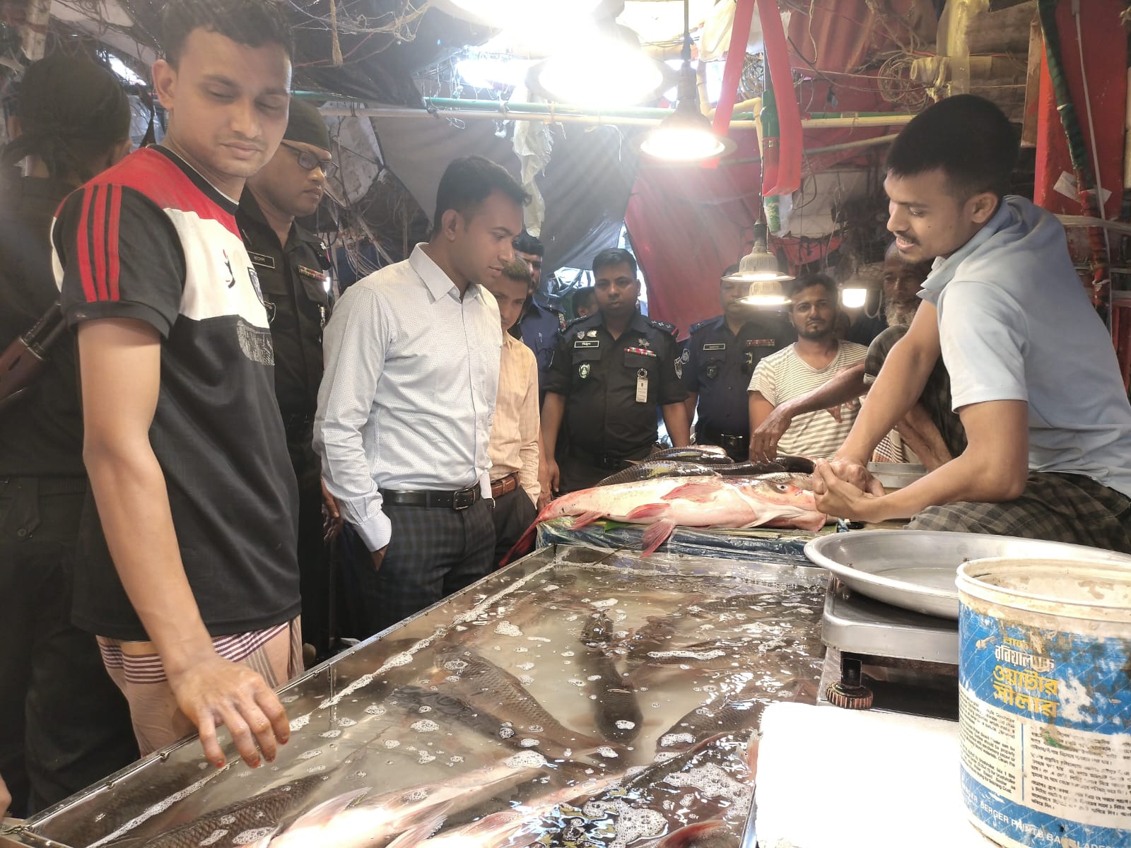 মাছ তাজা দেখাতে লাইটে রঙিন পলিথিন, বগুড়ায় ৭ প্রতিষ্ঠান জরিমানা করলো ভোক্তা অধিকার 