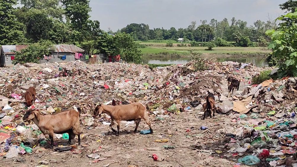 শেরপুর পৌরসভার বর্জ্য যাচ্ছে পৌর কার্যালয়ে, ধূপ জ্বালিয়েও কাটছে না দুর্গন্ধ