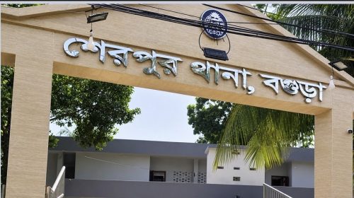 শেরপুরে পাওনা টাকা নিয়ে বিরোধ, গর্ভবতী নারীসহ আহত ৪