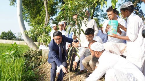 বগুড়ার শেরপুরে এক হাজার ফলজ ও বনজ গাছের চারা রোপণ শুরু, উদ্বোধন করলেন ডিসি