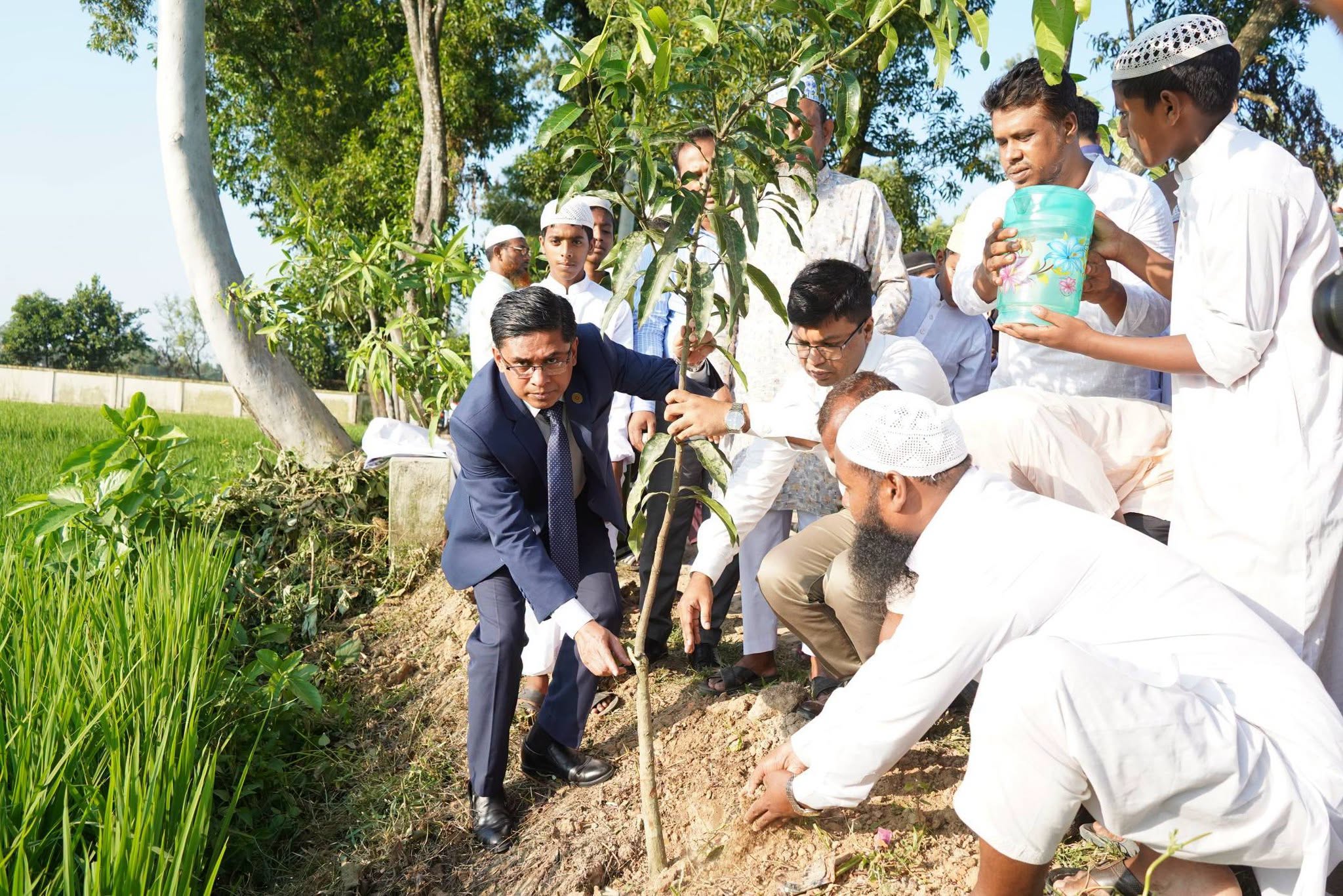 বগুড়ার শেরপুরে এক হাজার ফলজ ও বনজ গাছের চারা রোপণ শুরু, উদ্বোধন করলেন ডিসি